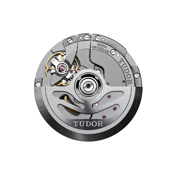 (TUDOR)チューダー時計コピー代引き ブラックベイ スチール M79730-0004