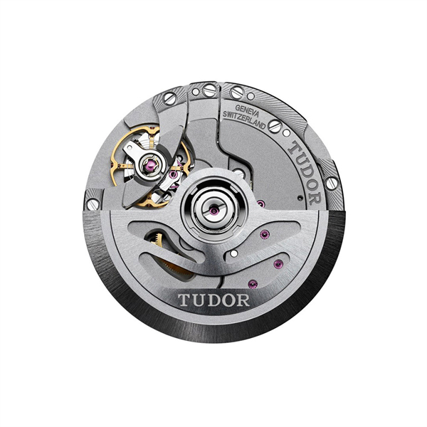 (TUDOR)チューダー時計コピー代引き ブラックベイ S&G M79733N-0005