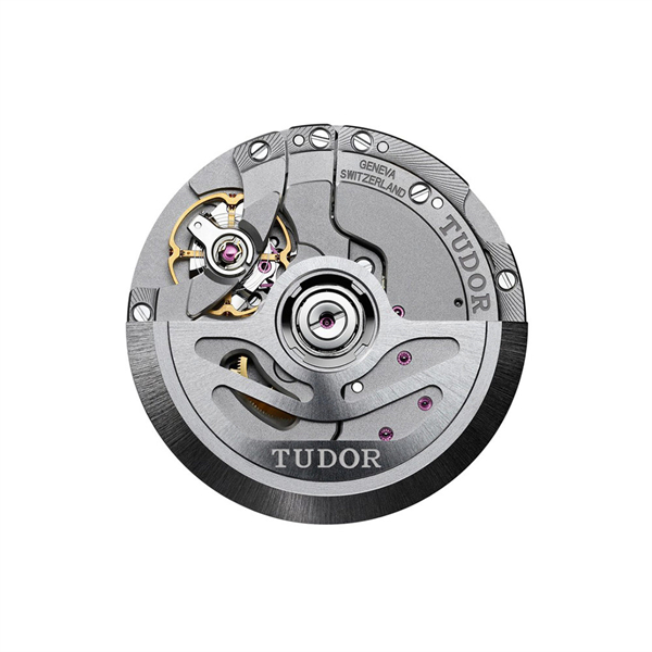 (TUDOR)チューダー時計コピー代引き ブラックベイ S&G M79733N-0007
